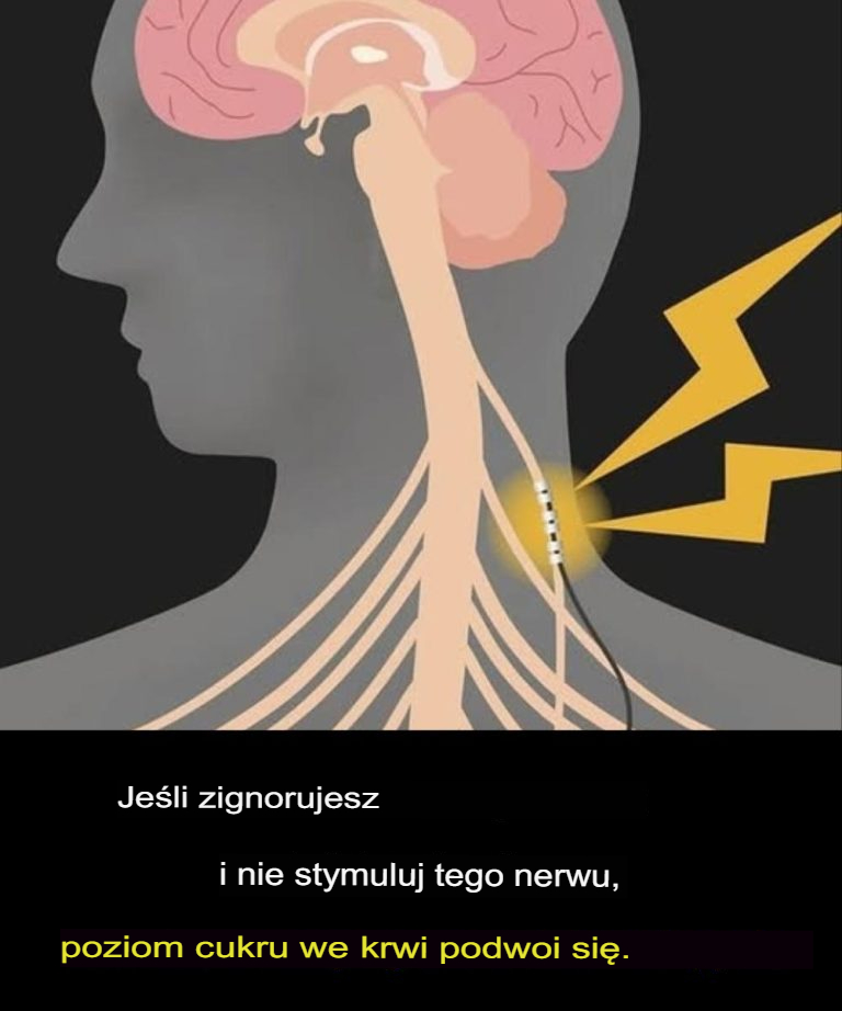 Je_li_zignorujesz_ten_nerw_i_nie_b_dziesz_go_stymulowa___poziom_cukru_we_krwi_si__podwoi_-1