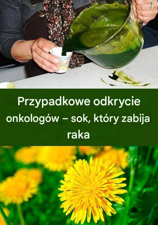 Korze__mniszka_lekarskiego__skuteczniejszy_ni__chemioterapia Korze__mniszka_lekarskiego__skuteczniejszy_ni__chemioterapia