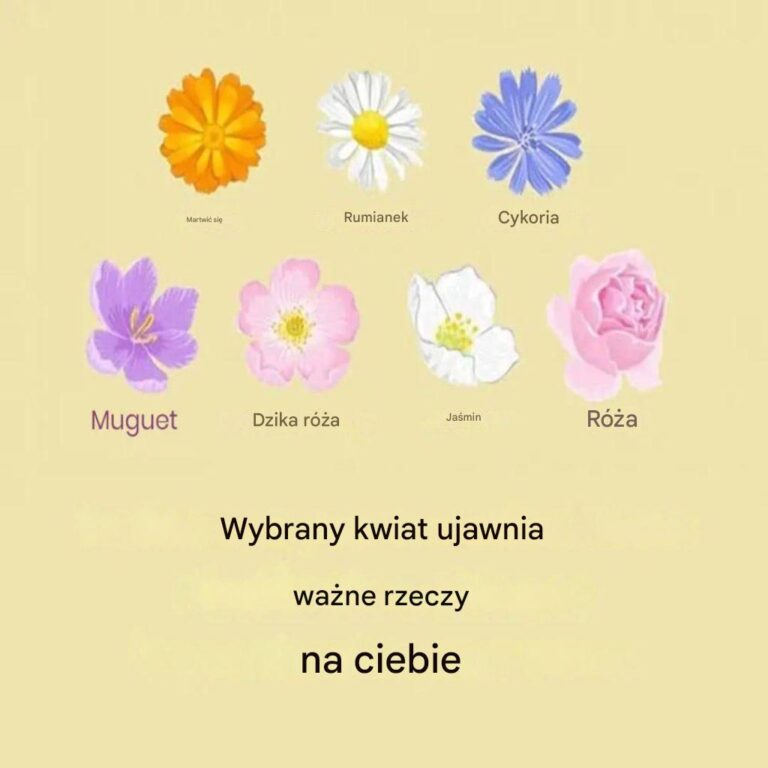 Kwiat__kt_ry_wybierzesz__wska_e__co_jest_dla_Ciebie_najwa_niejsze-1