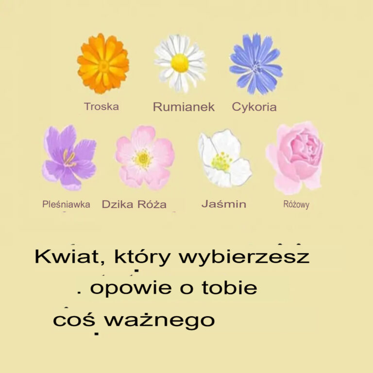Kwiat__kt_ry_wybierzesz__wska_e__co_jest_dla_Ciebie_najwa_niejsze