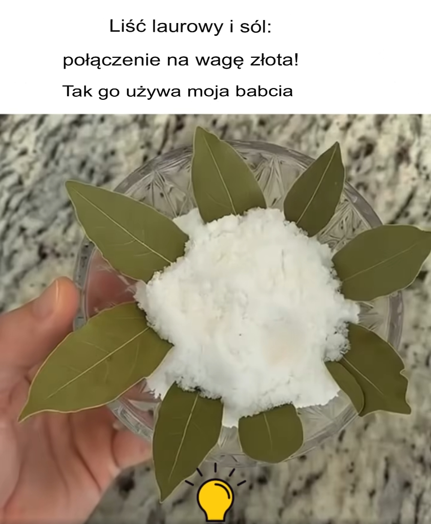Li_cie_laurowe_i_s_l__po__czenie_warte_swojej_wagi_w_z_ocie Li_cie_laurowe_i_s_l__po__czenie_warte_swojej_wagi_w_z_ocie