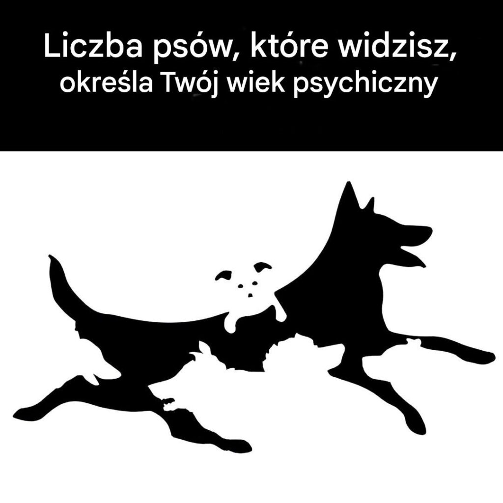 Liczba_ps_w__kt_re_widzisz_na_tym_obrazku__okre_la_Tw_j_wiek_umys_owy Liczba_ps_w__kt_re_widzisz_na_tym_obrazku__okre_la_Tw_j_wiek_umys_owy