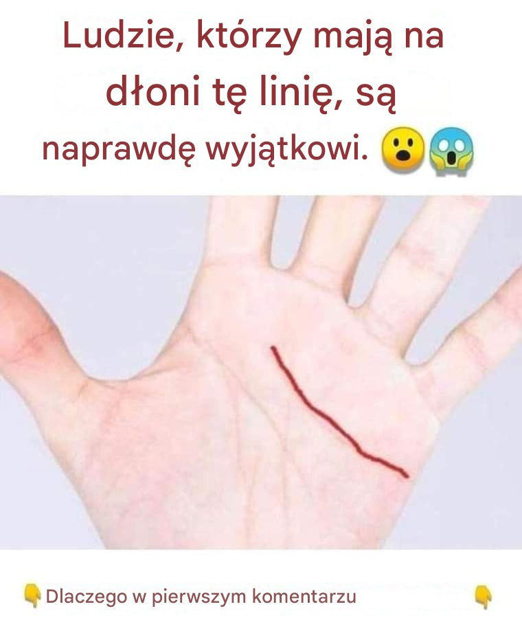 Ludzie__kt_rzy_maj__na_d_oni_t__lini___s__naprawd__wyj_tkowi_ Ludzie__kt_rzy_maj__na_d_oni_t__lini___s__naprawd__wyj_tkowi_