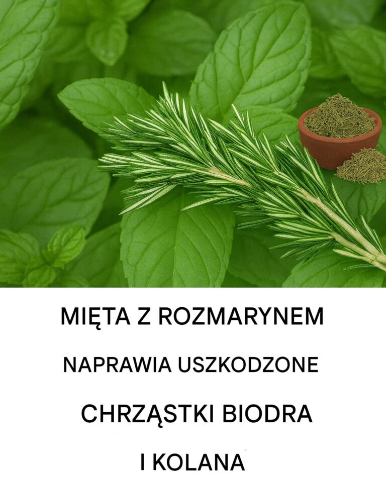 Mi_ta_i_rozmaryn___wie_y__yk_dla_zdrowia_staw_w-1