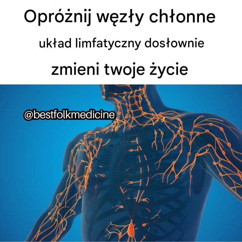 Najlepsze_naturalne__rodki_oczyszczaj_ce_uk_ad_limfatyczny Najlepsze_naturalne__rodki_oczyszczaj_ce_uk_ad_limfatyczny