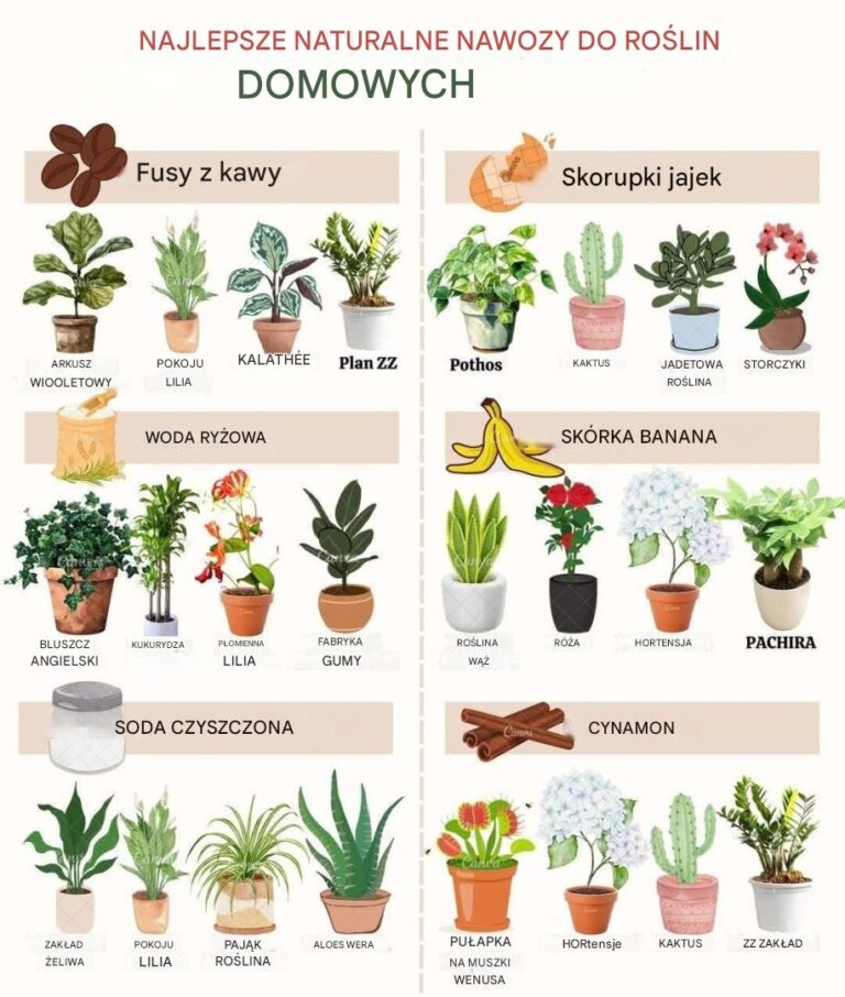 Najlepsze_naturalne_nawozy_dla_ro_lin_domowych