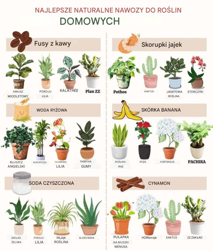 Najlepsze_naturalne_nawozy_dla_ro_lin_domowych Najlepsze_naturalne_nawozy_dla_ro_lin_domowych