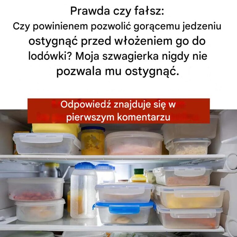 Najlepsze_praktyki_przechowywania_gor_cych_da__w_lod_wce