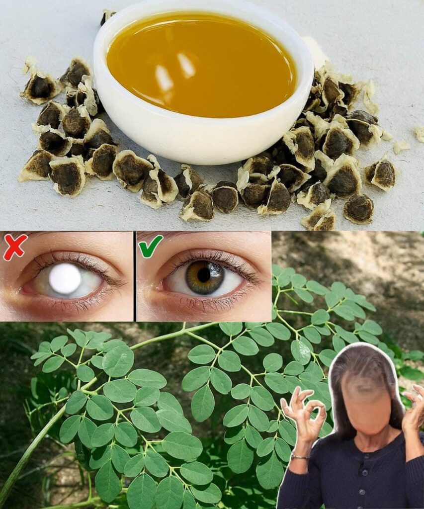 Nasiona_moringi__te_ma_e_cuda__kt_re_mog__odmieni__Twoje_zdrowie Nasiona_moringi__te_ma_e_cuda__kt_re_mog__odmieni__Twoje_zdrowie
