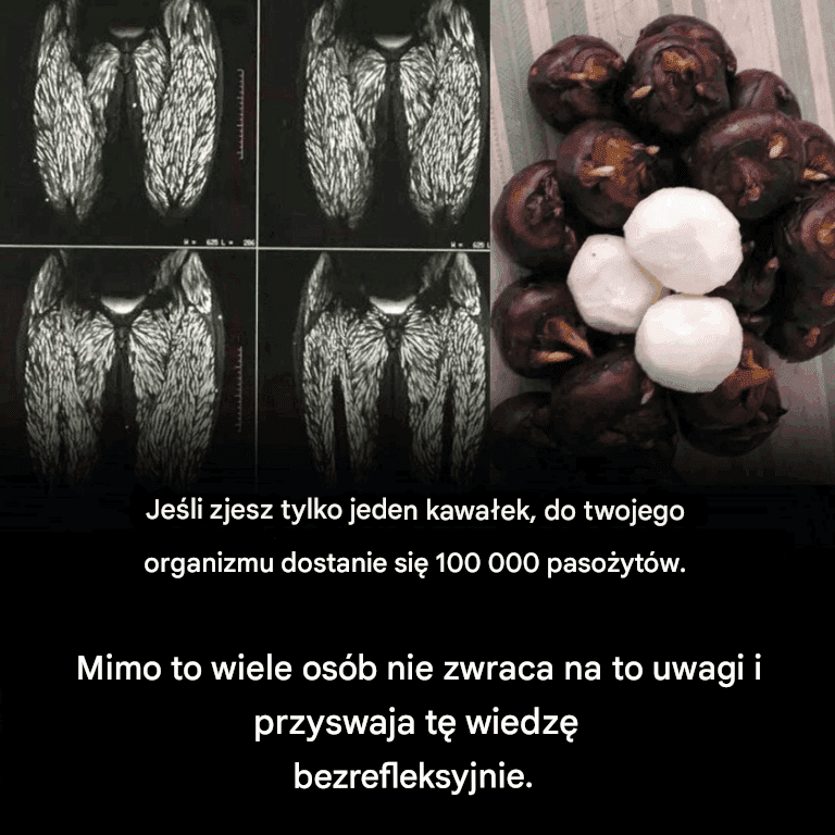 Nawet_jeden_k_s_jest_szkodliwy__ale_wiele_os_b_nadal_go_je_bez_obaw Nawet_jeden_k_s_jest_szkodliwy__ale_wiele_os_b_nadal_go_je_bez_obaw