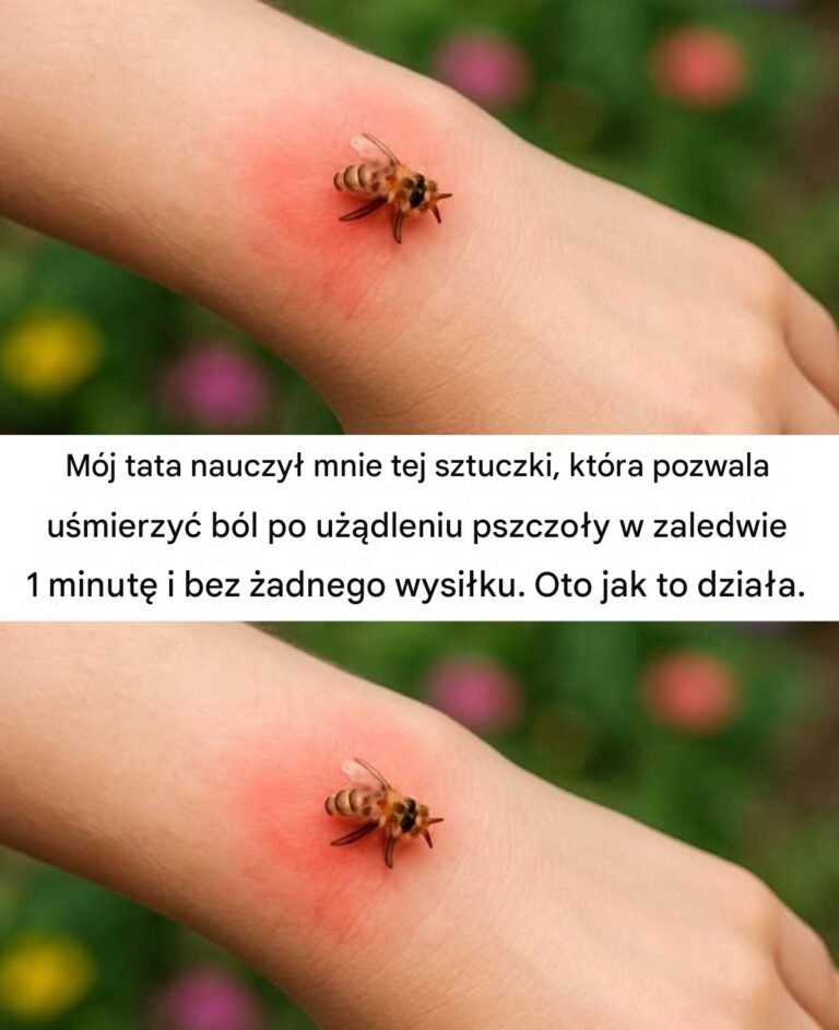 Nie_wiedzia_em___e_sztuczka_mojego_taty_z_u__dleniem_pszczo_y_w_1_minut__dzia_a_jak_magia