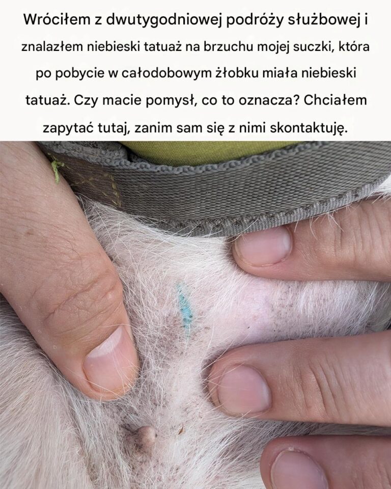 Nie_wiedzia_em_o_tym