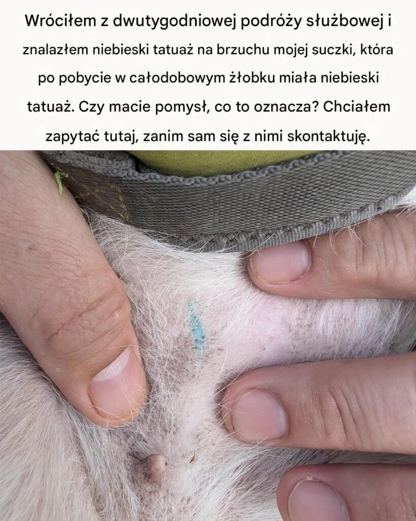 Nie_wiedzia_em_o_tym Nie_wiedzia_em_o_tym