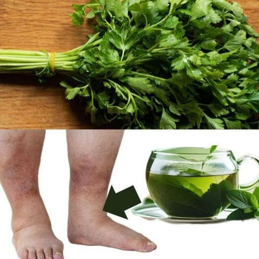 Odkryj_magi__cudownej_herbaty Odkryj_magi__cudownej_herbaty