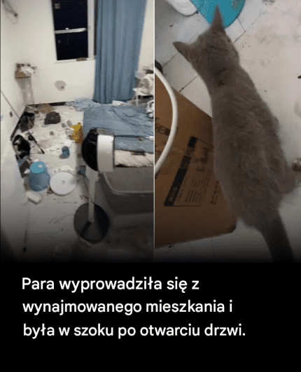 Para_wynaj__a_mieszkanie_i_wyprowadzi_a_si___W_a_ciciel_by__w_szoku__gdy_otworzy__drzwi_mieszkania_ Para_wynaj__a_mieszkanie_i_wyprowadzi_a_si___W_a_ciciel_by__w_szoku__gdy_otworzy__drzwi_mieszkania_