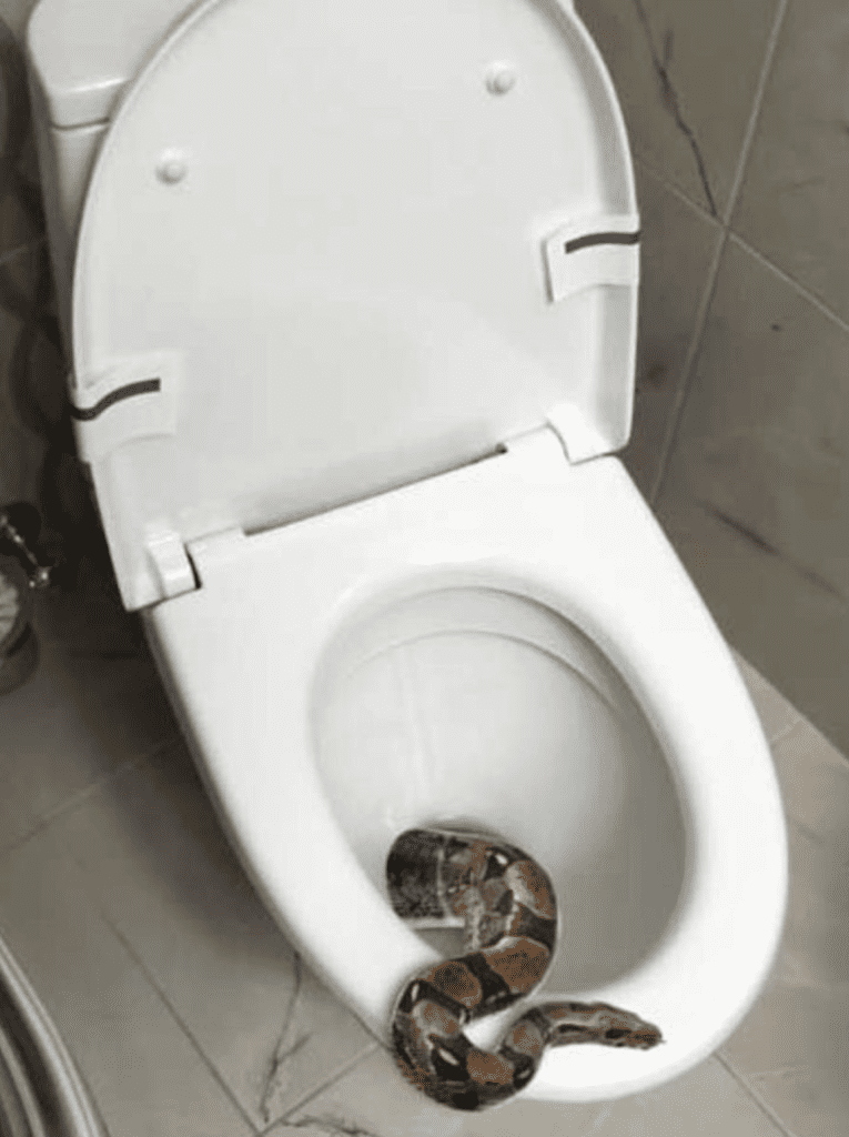 Podzi_kujesz_mi_p__niej_ Podzi_kujesz_mi_p__niej_