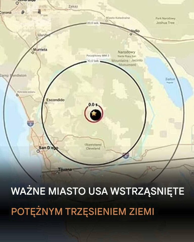 Pot__ne_trz_sienie_ziemi_o_magnitudzie_5_2_wstrz_sa_San_Diego___mieszka_cy_opisuj__chaotyczne_chwile