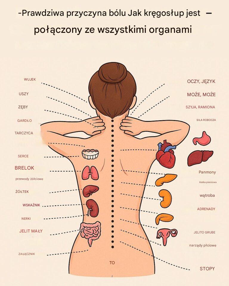 Prawdziwa_przyczyna_b_lu___jak_kr_gos_up_jest_po__czony_ze_wszystkimi_organami-1 Prawdziwa_przyczyna_b_lu___jak_kr_gos_up_jest_po__czony_ze_wszystkimi_organami-1
