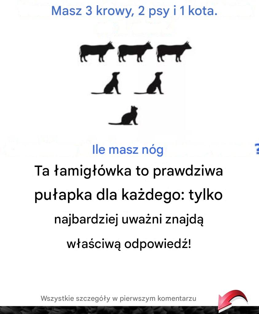 Ta__amig__wka_to_prawdziwa_pu_apka_dla_ka_dego__tylko_najbardziej_uwa_ni_znajd__w_a_ciw__odpowied__