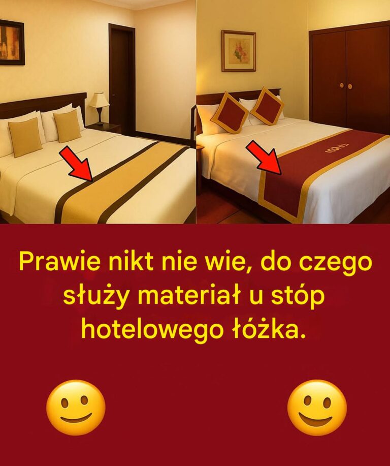 Ta__cie_ka_do____ka_u_podn__a____ka_hotelowego__8230__ju__zastanawia_e__si___po_co_to_jest_