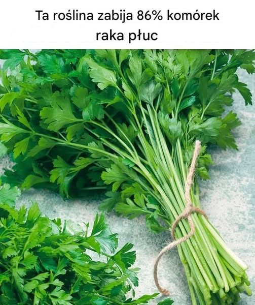 Ta_ro_lina_zabija_86__kom_rek_raka_p_uc-1 Ta_ro_lina_zabija_86__kom_rek_raka_p_uc-1
