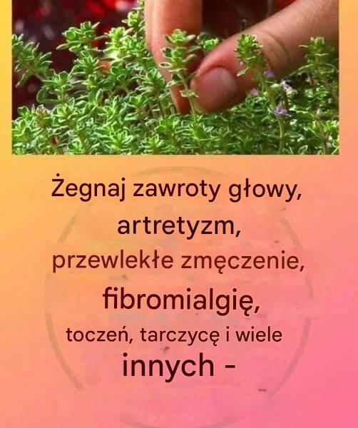 To_prawdziwa__koszulka_Boga__spowodowana_zapaleniem_staw_w__toczniem__zespo_em_zawrot_w_g_owy__problemami_sk_rnymi_i_przewlek_ymi_chorobami_ To_prawdziwa__koszulka_Boga__spowodowana_zapaleniem_staw_w__toczniem__zespo_em_zawrot_w_g_owy__problemami_sk_rnymi_i_przewlek_ymi_chorobami_