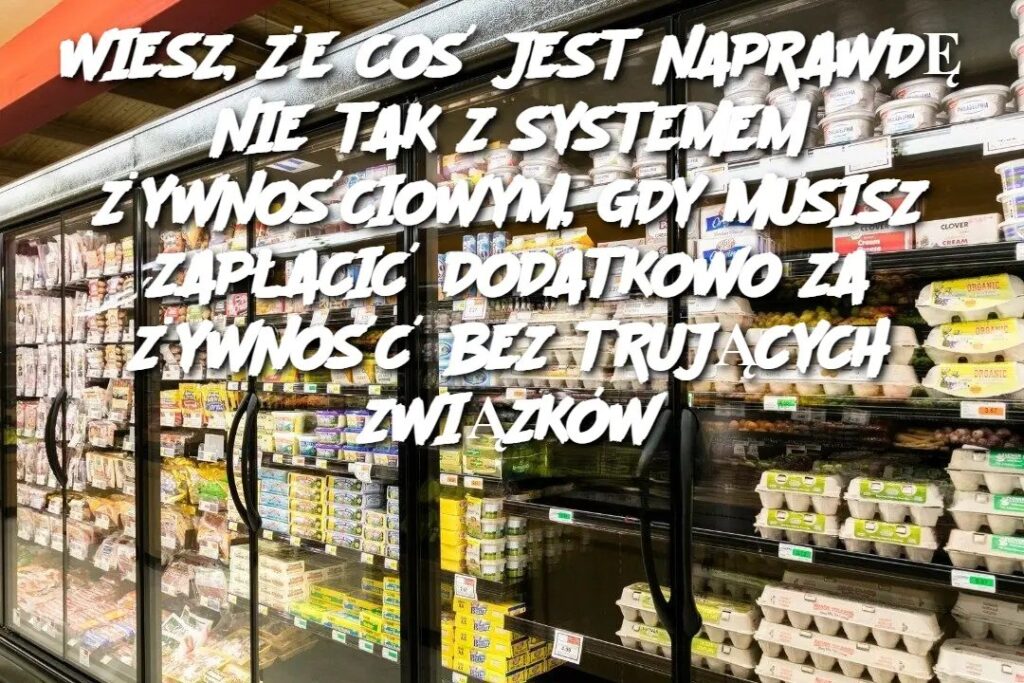 WIESZ___E_CO__JEST_NAPRAWD__NIE_TAK_Z_SYSTEMEM__YWNO_CIOWYM__GDY_MUSISZ_ZAP_ACI__DODATKOWO_ZA__YWNO___BEZ_TRUJ_CYCH_ZWI_ZK_W WIESZ___E_CO__JEST_NAPRAWD__NIE_TAK_Z_SYSTEMEM__YWNO_CIOWYM__GDY_MUSISZ_ZAP_ACI__DODATKOWO_ZA__YWNO___BEZ_TRUJ_CYCH_ZWI_ZK_W