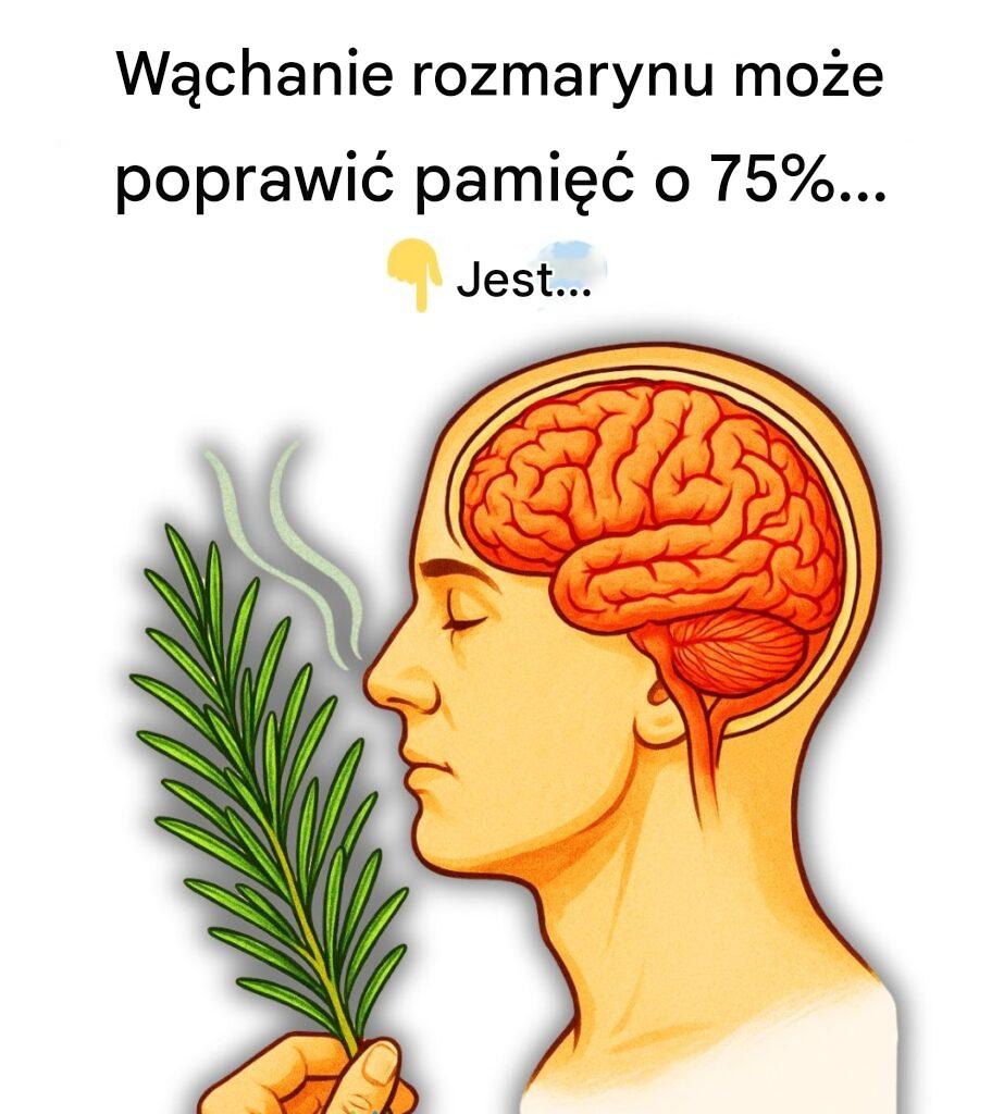 W_chanie_rozmarynu_mo_e_poprawi__pami___o_75_ W_chanie_rozmarynu_mo_e_poprawi__pami___o_75_