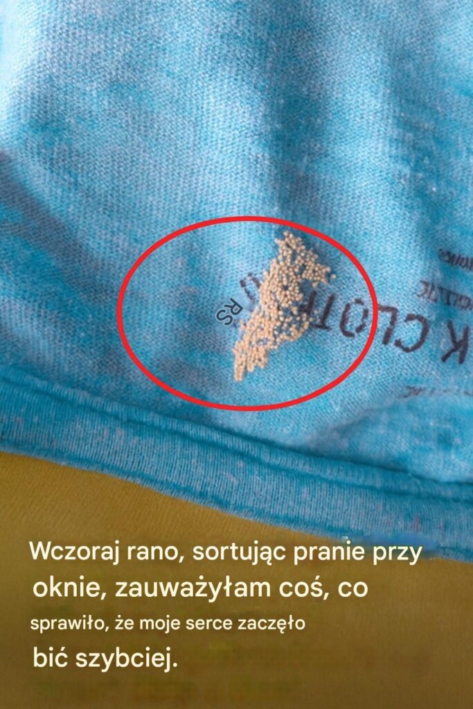 Wczoraj_rano__sortuj_c_pranie_przy_oknie__zauwa_y_am_co___co_sprawi_o___e_moje_serce_zacz__o_bi__szybciej_ Wczoraj_rano__sortuj_c_pranie_przy_oknie__zauwa_y_am_co___co_sprawi_o___e_moje_serce_zacz__o_bi__szybciej_