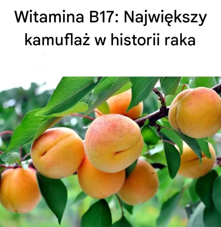 Witamina_B17__Najwi_ksze_tuszowanie_w_historii_raka_Suplementy_diety