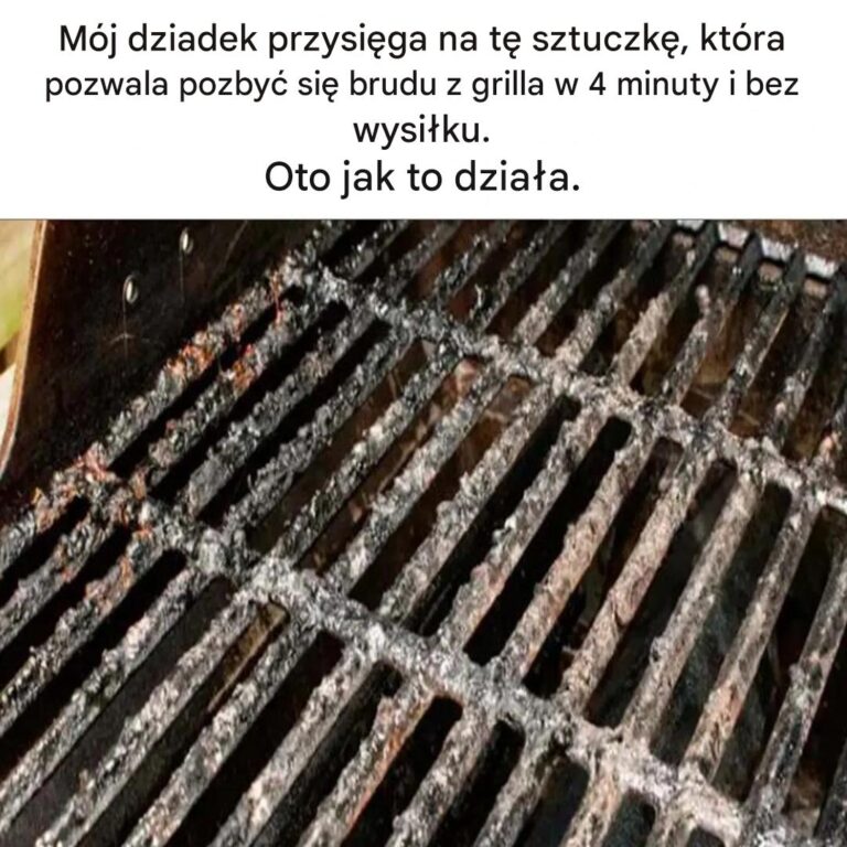 Wskaz_wka_mojego_dziadka__jak_wyczy_ci__grilla_w_4_minuty