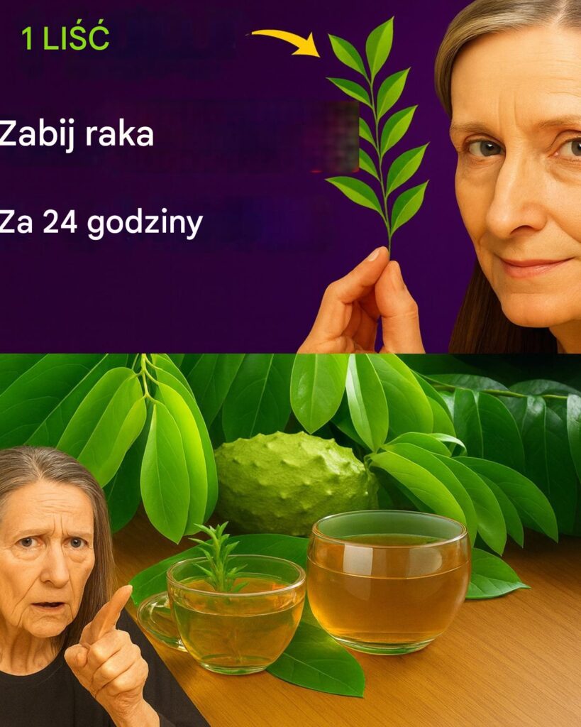Zadbaj_o_dobre_samopoczucie_dzi_ki_herbacie_z_li_ci_gravioli Zadbaj_o_dobre_samopoczucie_dzi_ki_herbacie_z_li_ci_gravioli
