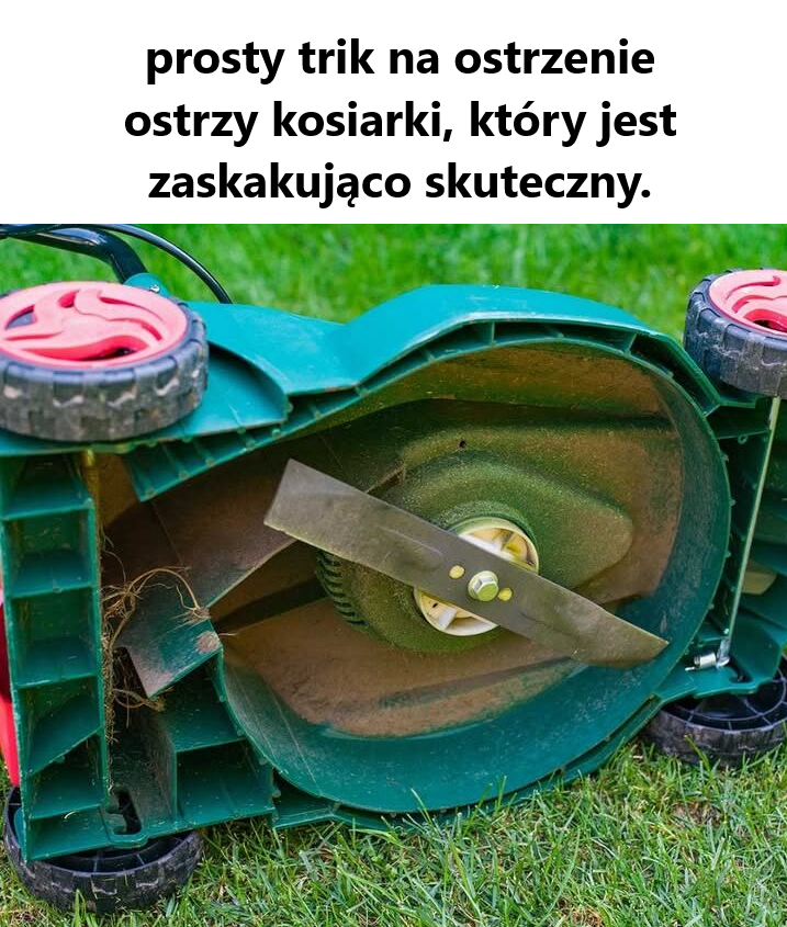 Zgrabny_hack Zgrabny_hack
