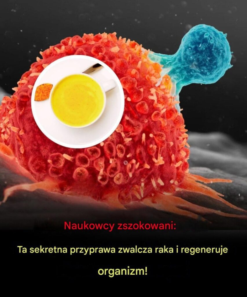 Zszokowani_naukowcy__Ta_sekretna_przyprawa_zwalcza_raka_i_regeneruje_organizm_ Zszokowani_naukowcy__Ta_sekretna_przyprawa_zwalcza_raka_i_regeneruje_organizm_