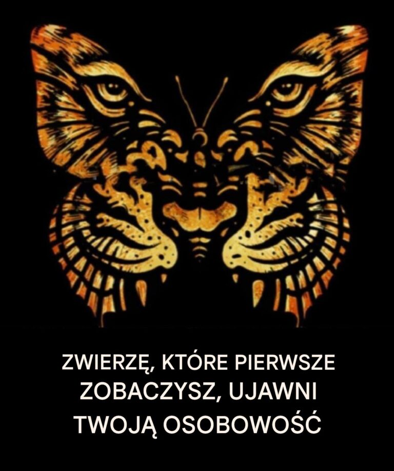 Zwierz___kt_re_zobaczysz_jako_pierwsze__ujawni_Twoj__osobowo__