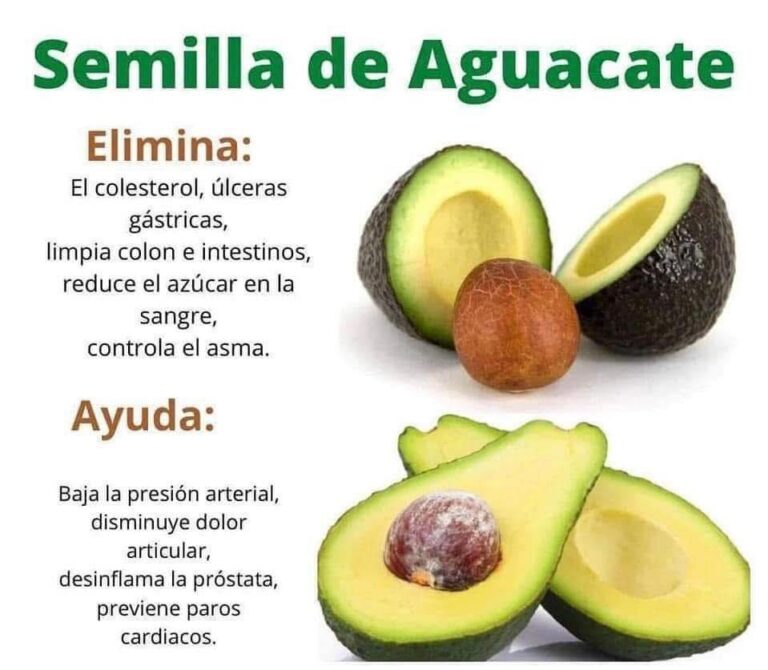 13_Razones_Para_No_Botar_La_Semilla_del_Aguacate__Lo_Mejor_del_Aguacate_ver_m_s