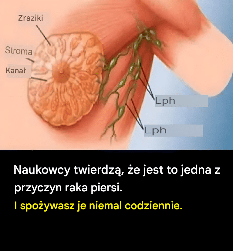 90__przypadk_w_raka_piersi_mo_na_by_zapobiec__gdyby_kobiety_stosowa_y_si__do_tych_9_zasad 90__przypadk_w_raka_piersi_mo_na_by_zapobiec__gdyby_kobiety_stosowa_y_si__do_tych_9_zasad