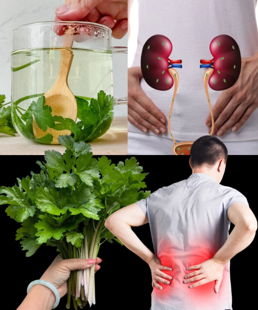 Co_mo_e_dla_Ciebie_zrobi__ta_zio_owa_infuzja_ Co_mo_e_dla_Ciebie_zrobi__ta_zio_owa_infuzja_