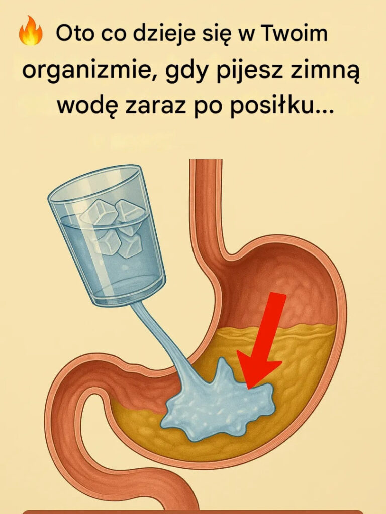 Co_tak_naprawd__si__dzieje__gdy_pijesz_zimn__wod__zaraz_po_posi_ku_ Co_tak_naprawd__si__dzieje__gdy_pijesz_zimn__wod__zaraz_po_posi_ku_