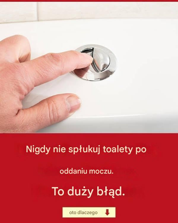 Dlaczego_tak_wa_ne_jest__aby_nie_spuszcza__wody_w_toalecie_po_ka_dej_wizycie_w_toalecie_ Dlaczego_tak_wa_ne_jest__aby_nie_spuszcza__wody_w_toalecie_po_ka_dej_wizycie_w_toalecie_