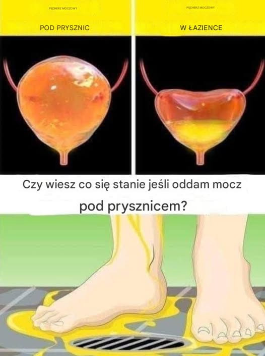 Je_li_oddajesz_mocz_pod_prysznicem__uwa_aj__powiniene__wiedzie____e__Zobacz_wi_cej Je_li_oddajesz_mocz_pod_prysznicem__uwa_aj__powiniene__wiedzie____e__Zobacz_wi_cej