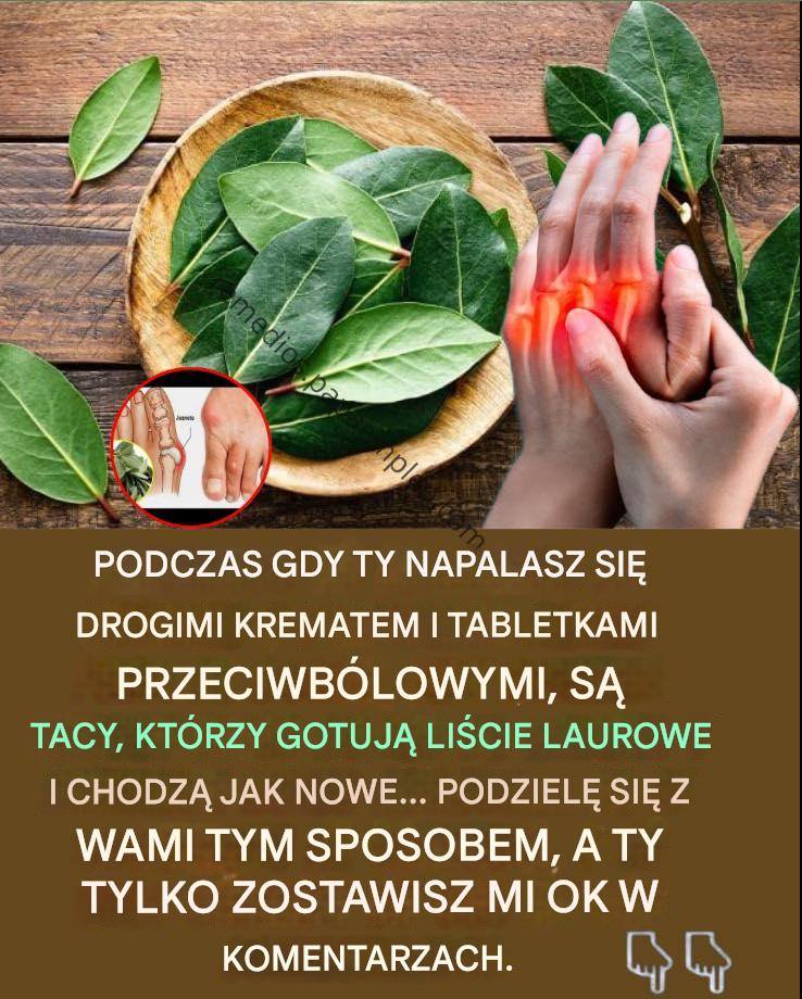 Li_cie_laurowe_na_b_l_staw_w_i_s_abe_kr__enie__odnowiony_staro_ytny__rodek
