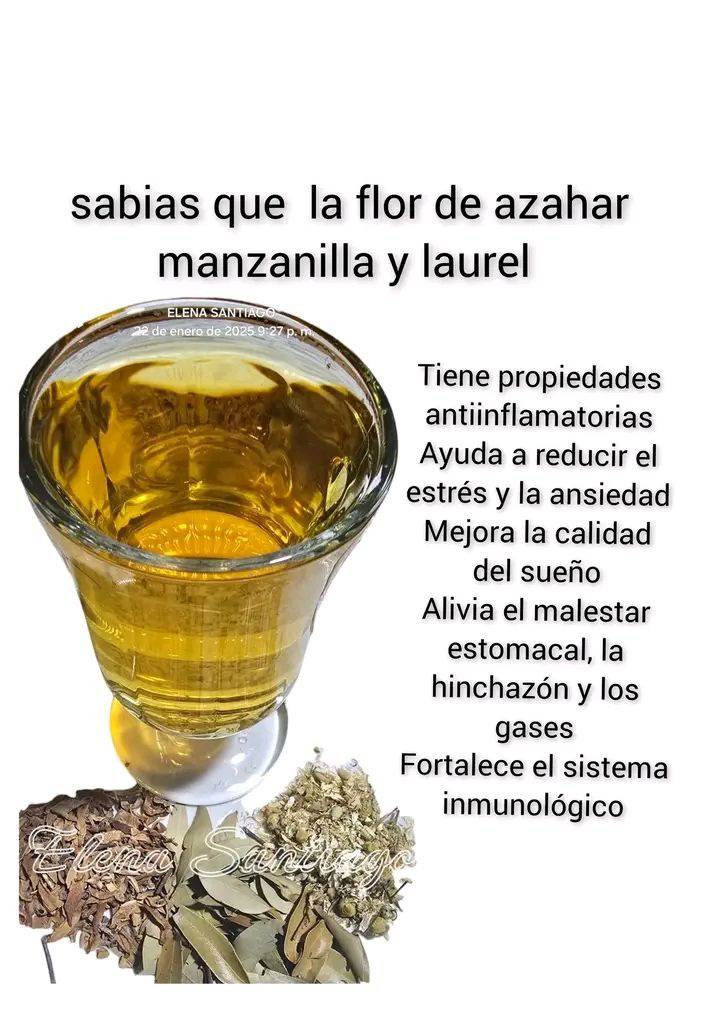 Los_Poderosos_Beneficios_de_la_Flor_de_Azahar__Manzanilla_y_Laurel_para_tu_Salud_y_Bienestar-1 Los_Poderosos_Beneficios_de_la_Flor_de_Azahar__Manzanilla_y_Laurel_para_tu_Salud_y_Bienestar-1