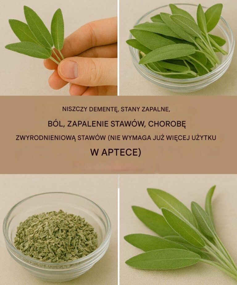 Naturalny_cudowny__rodek_na_zdrowie_m_zgu__stany_zapalne_i_b_le_staw_w-1