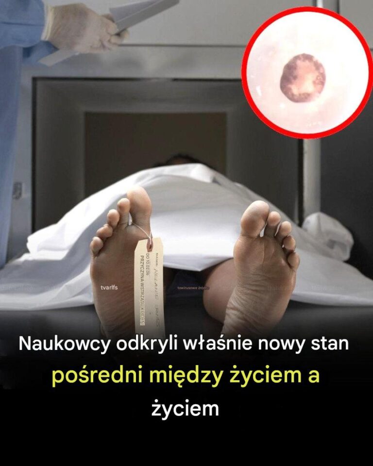 Naukowcy_odkryli__trzeci_stan__poza__yciem_i__mierci__w_prze_omowym_odkryciu