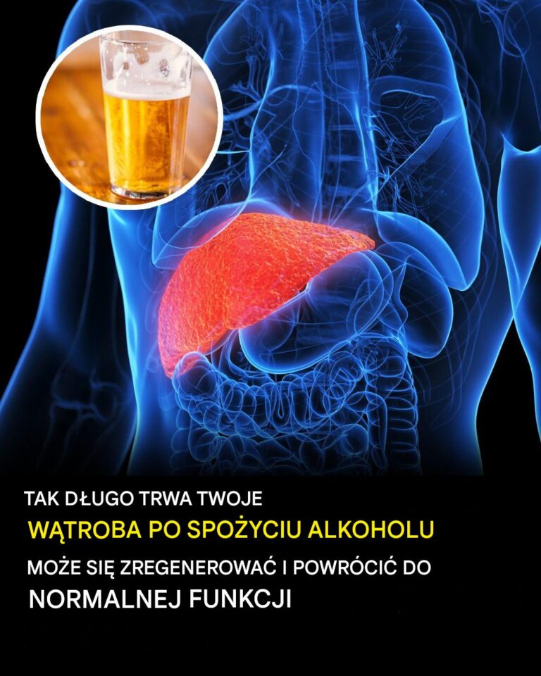 Oto__jak_d_ugo_Twoja_w_troba_wraca_do_normy_po_wypiciu_alkoholu