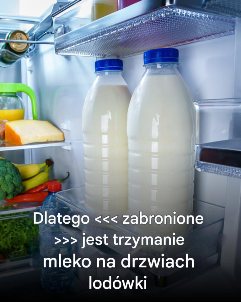 Oto_dlaczego_nie_nale_y_ju__przechowywa__mleka_w_drzwiach_lod_wki