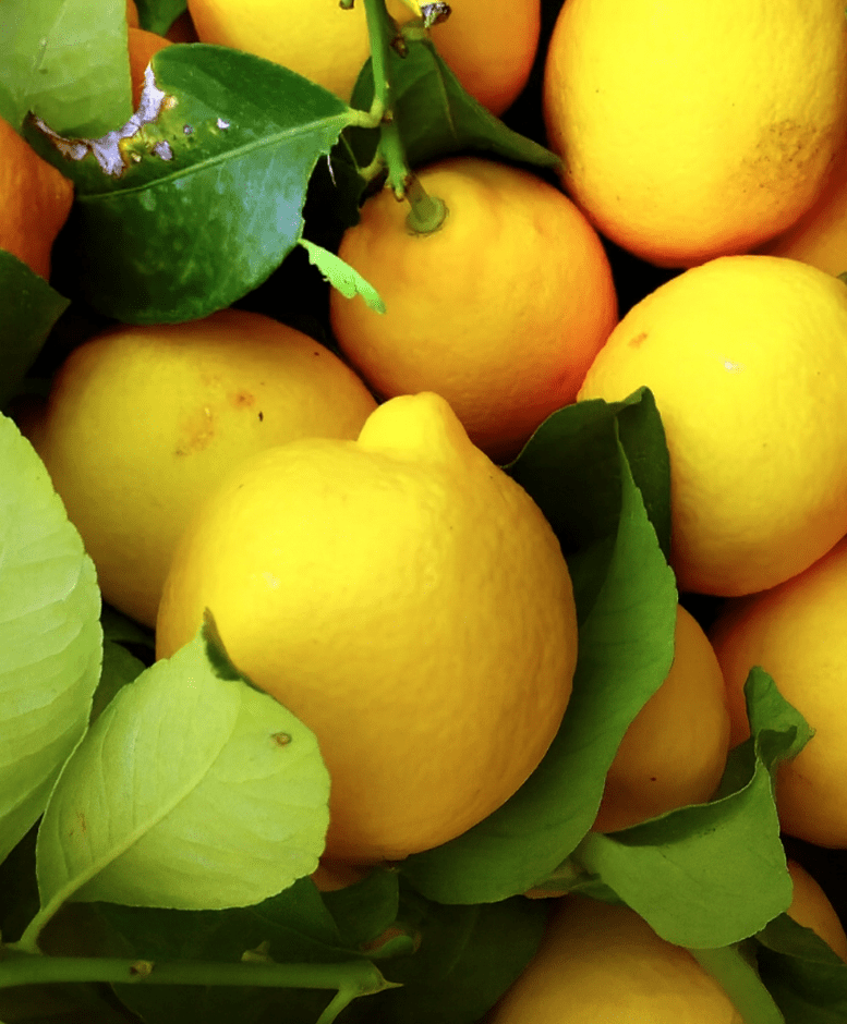 Oto_skutki_spo_ycia_cytryny_na_poziom_glukozy_we_krwi Oto_skutki_spo_ycia_cytryny_na_poziom_glukozy_we_krwi