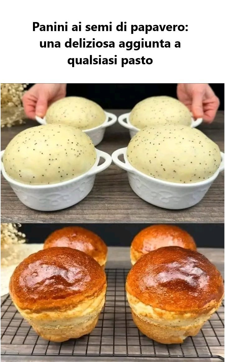 Panini_ai_semi_di_papavero__una_deliziosa_aggiunta_a_qualsiasi_pasto