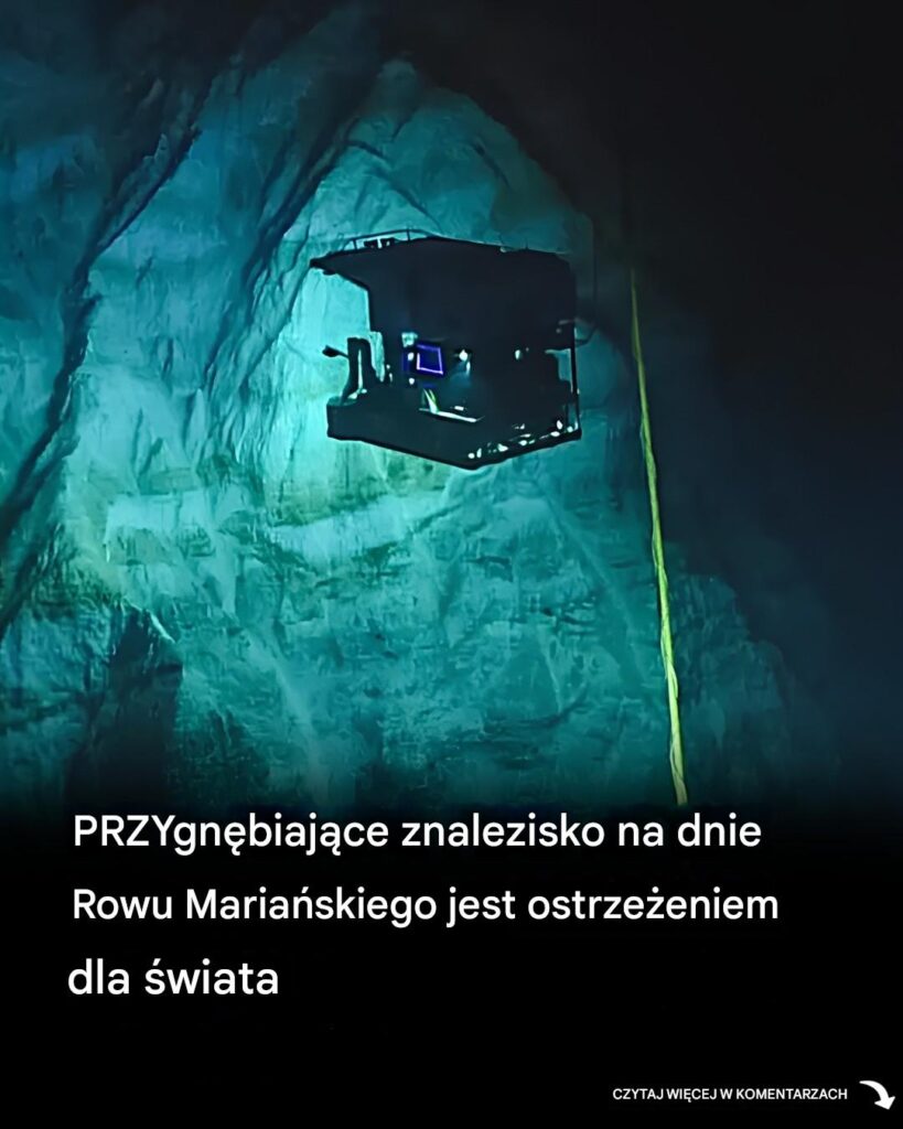 Przygn_biaj_ce_odkrycie_na_dnie_Rowu_Maria_skiego_jest_ostrze_eniem_dla__wiata Przygn_biaj_ce_odkrycie_na_dnie_Rowu_Maria_skiego_jest_ostrze_eniem_dla__wiata